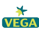 vega dmc logo