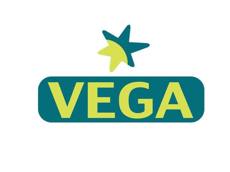 vega dmc logo