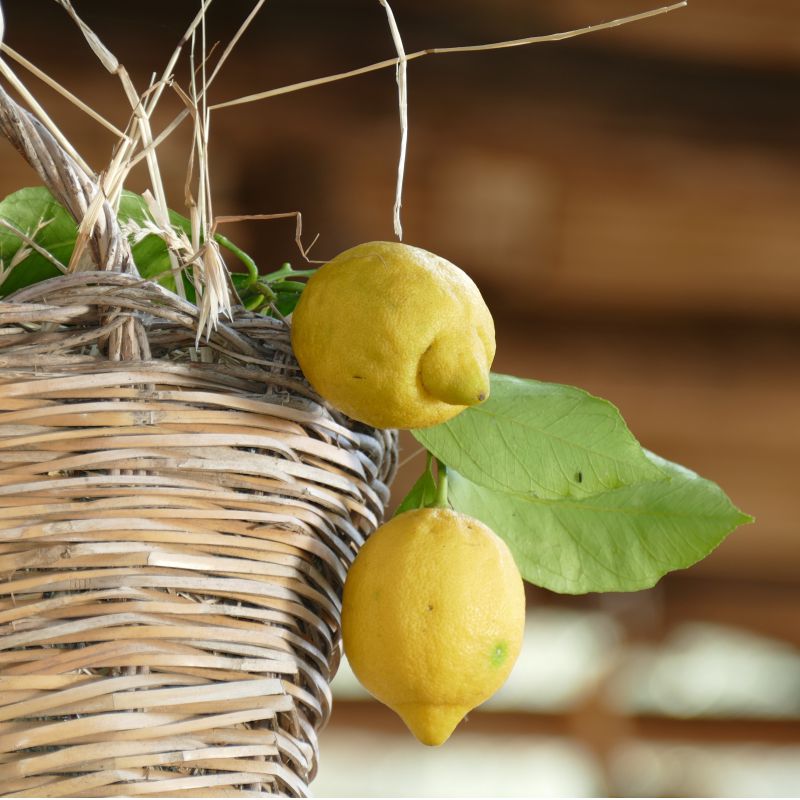 Lemon