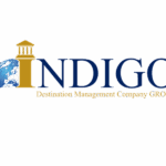 indigo dmc group