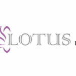 lotus dmc