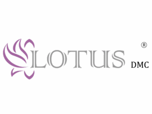 Lotus DMC