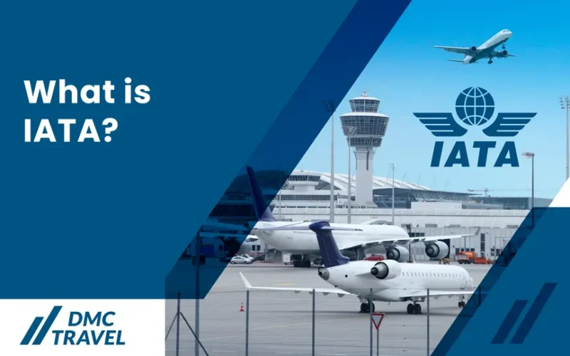 what is iata