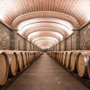 Venue: Il Borro Toscana