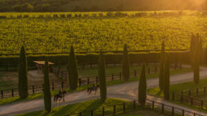 Photographer: Victor Fitz