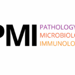 PMI Journal
