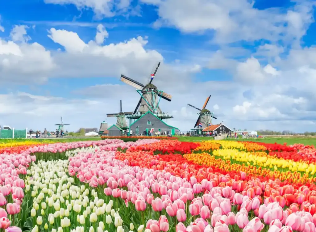 Dutch corporate event setting, Amsterdam canalside venue