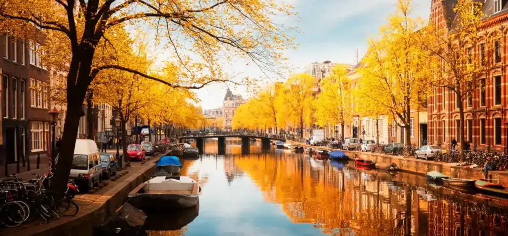 Dutch city skyline, Rotterdam architecture and Amsterdam canals