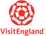 VE logo