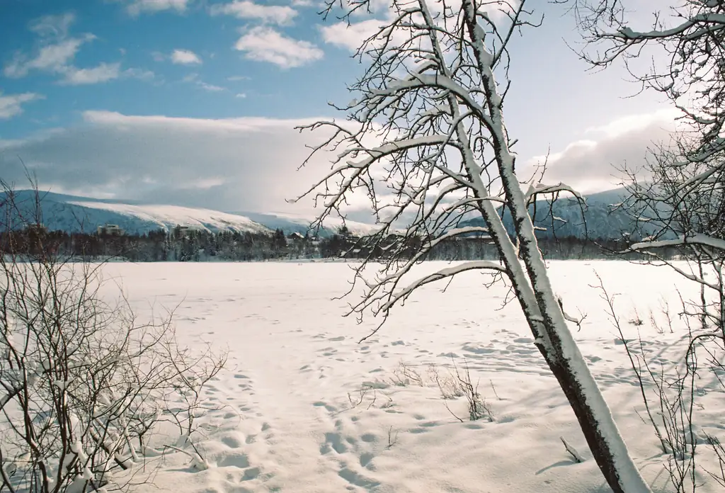 Tromsø in winter