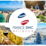France DMC Alliance - DMC Company Logo