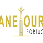 LANETOURS - DMC Company Logo