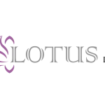 Lotus DMC - DMC Company Logo