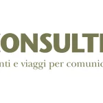 CONSULTA DMC - DMC Company Logo