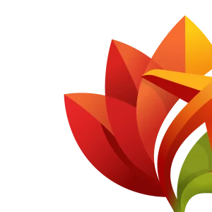 Blossom Travel Company GmbH - DMC Company Logo