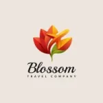 Blossom Travel Company GmbH - DMC Company Logo
