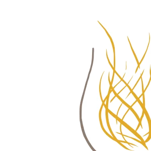 Cognac Tasting Tour - DMC Company Logo