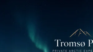 Tromso Pure - DMC Company Logo