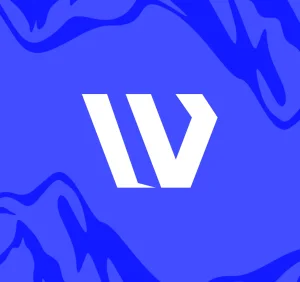 Wonder Albania - DMC Company Logo