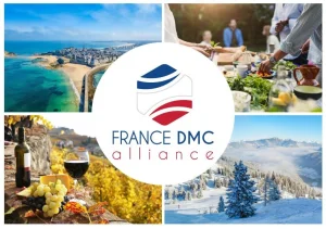 France DMC Alliance - DMC Company Logo