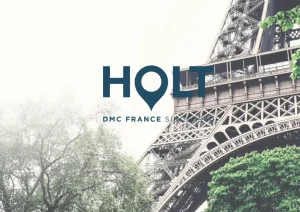 Holt DMC France - DMC Company Logo