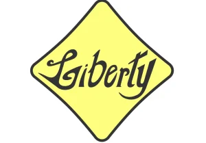 Liberty International Netherlands - DMC Company Logo