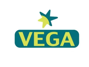 Vega DMC - DMC Company Logo