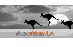 Alfred Holzknecht - DMC Company Logo