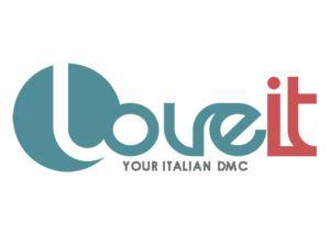 Love IT - DMC S.R.L. - DMC Company Logo