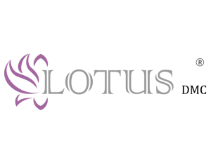 Lotus DMC - DMC Company Logo