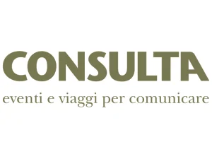 CONSULTA DMC - DMC Company Logo